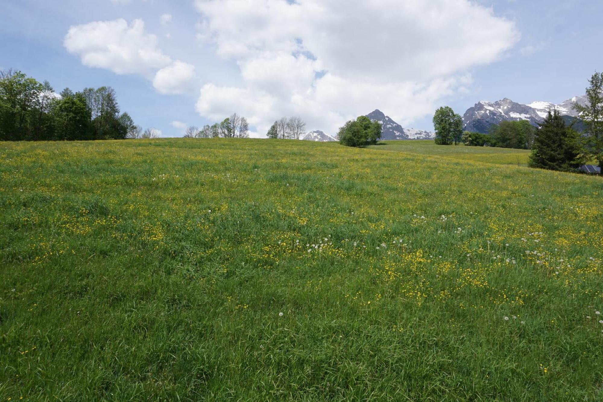 Pension & Appartements Anny Maria Alm am Steinernen Meer Buitenkant foto